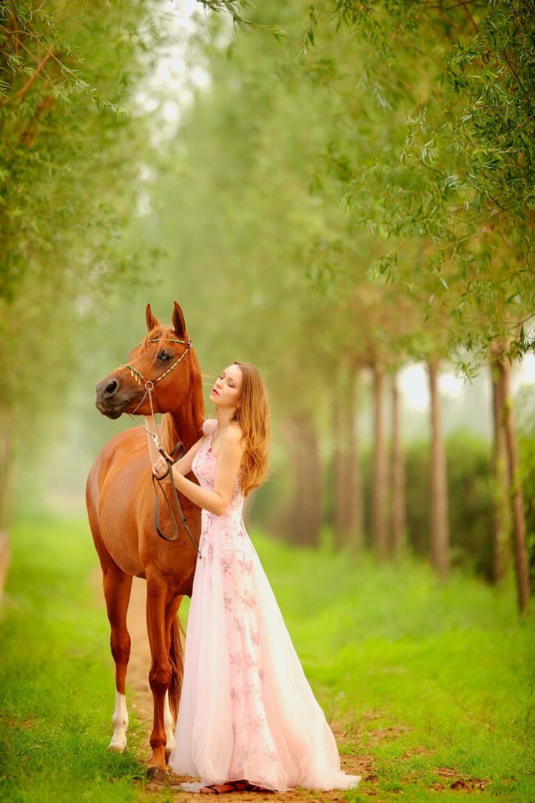 Fotoshooting mit Pferd